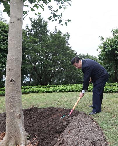 2012年12月7日至11日，習近平在廣東省考察工作。這是8日上午，習近平在深圳蓮花山公園種下一棵高山榕樹。新華社記者 蘭紅光 攝